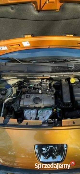 Używany Peugeot 1007 102 KM (75 kW) 2006 Złoty Minivan