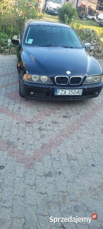 Obraz 2/4