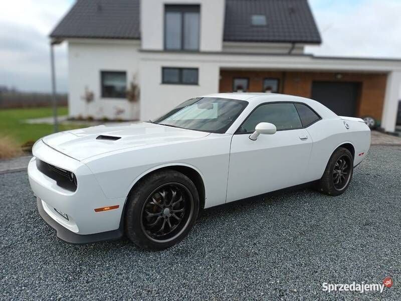 Używany Dodge Challenger SXT 2019 Coupe
