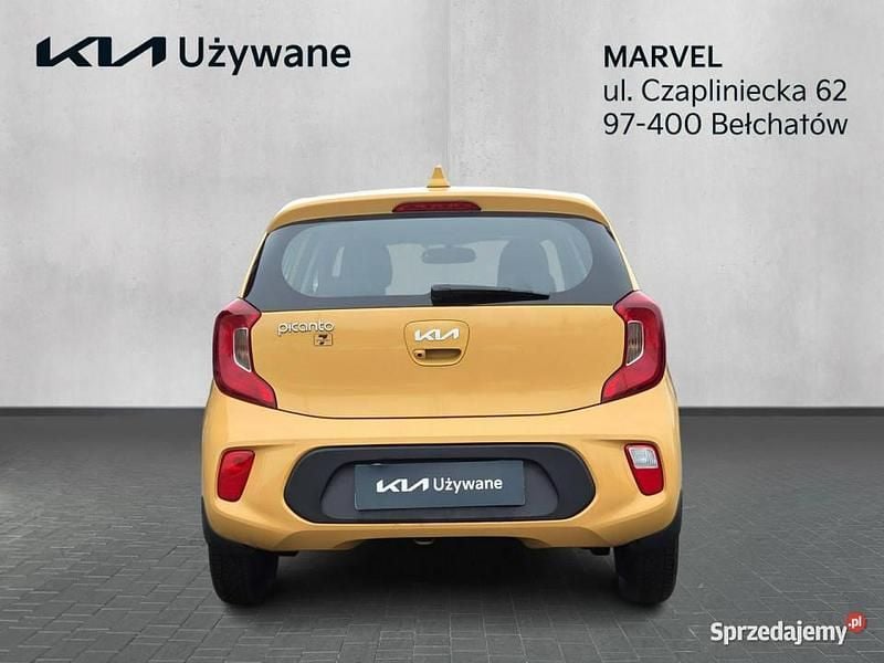Używany Kia Picanto 2024 Żółty Hatchback