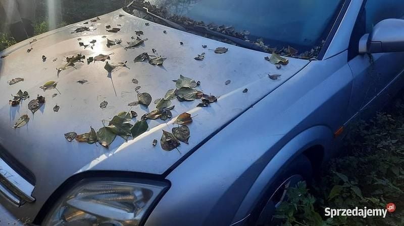 Srebrny Używany 2003 Opel Vectra Sedan/Limuzyna | 1000 zł (Super Cena) - Obraz 1/4