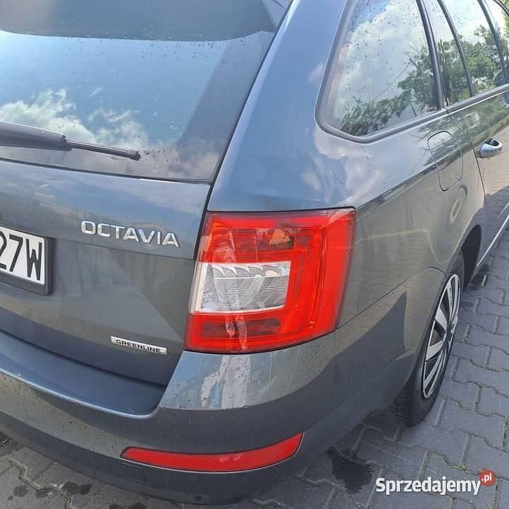 Obraz 3/4