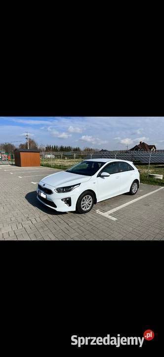 Obraz 2/4