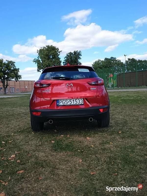 Obraz 4/4