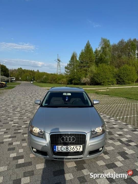 Srebrny Używany 2006 Audi A3 Hatchback | 15 000 zł (Uczciwa cena) - Obraz 1/4
