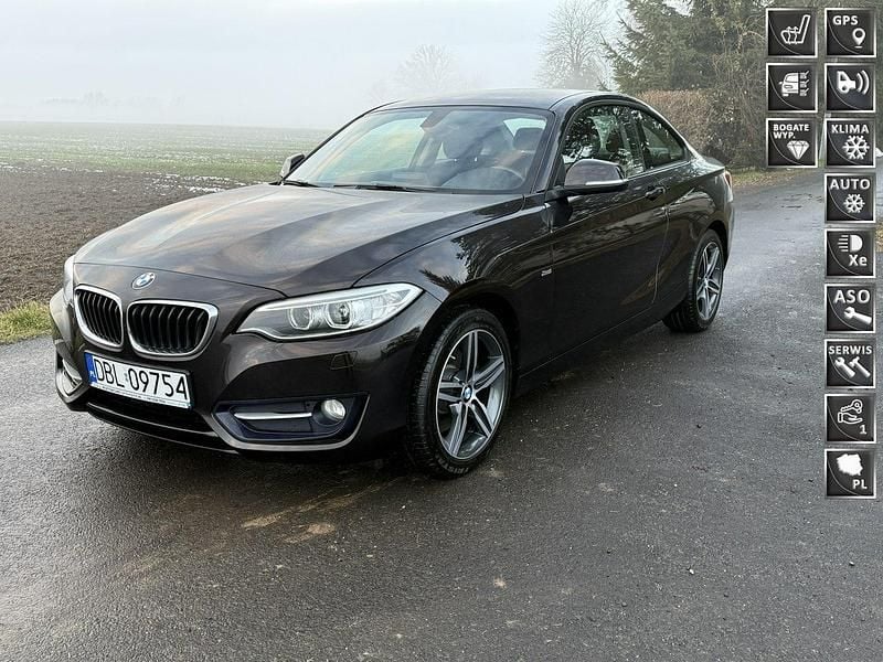 Brązowy Używany 2016 BMW 220 Performance Coupe | 72 000 zł - Obraz 1/4