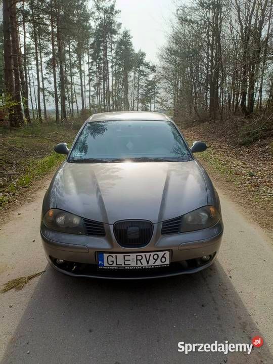 Obraz 2/4