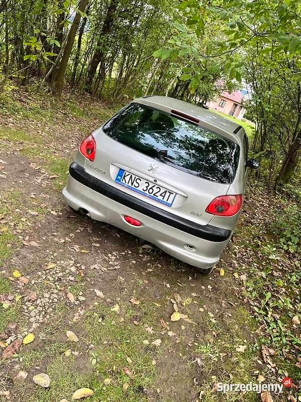 Używany Peugeot 206 2004