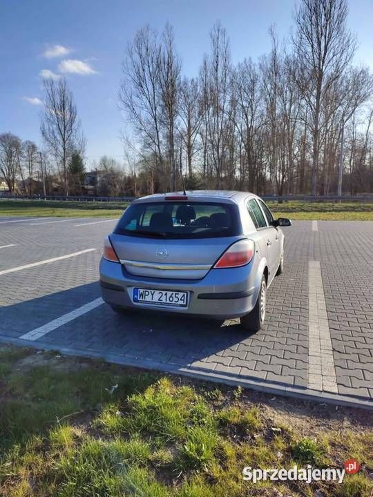 Obraz 4/4