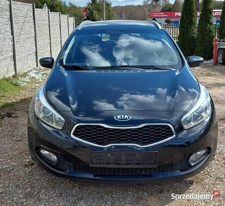 Obraz 2/4