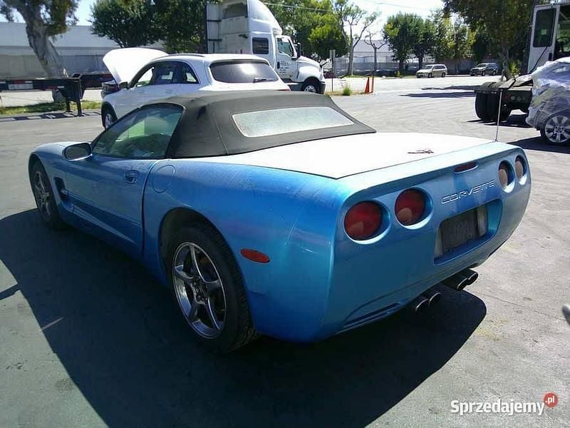 Używany 1999 Chevrolet Corvette C5 Kabriolet | 48 500 zł - Obraz 1/4