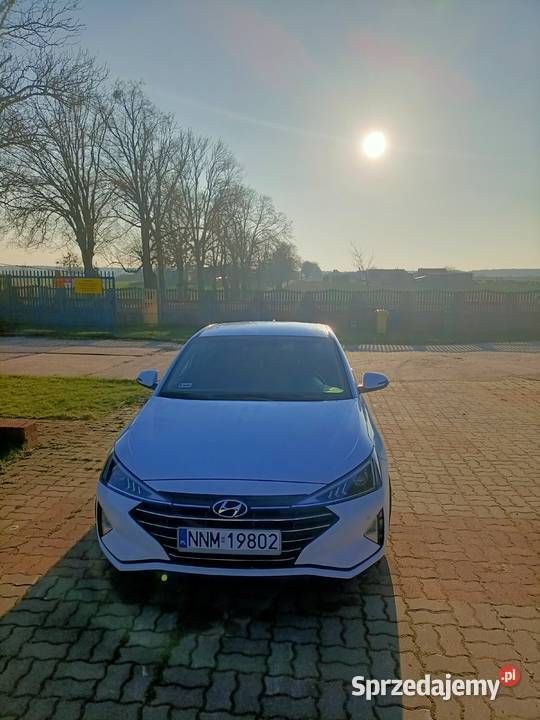 Używany 2019 Hyundai Elantra | 68 000 zł - Obraz 1/4
