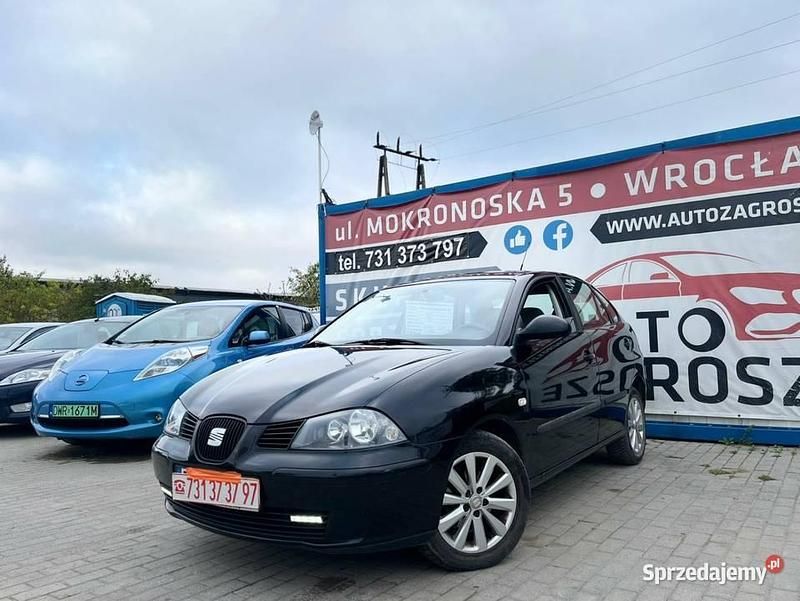 Używany 2004 Seat Ibiza | 4490 zł (Uczciwa cena) - Obraz 1/4