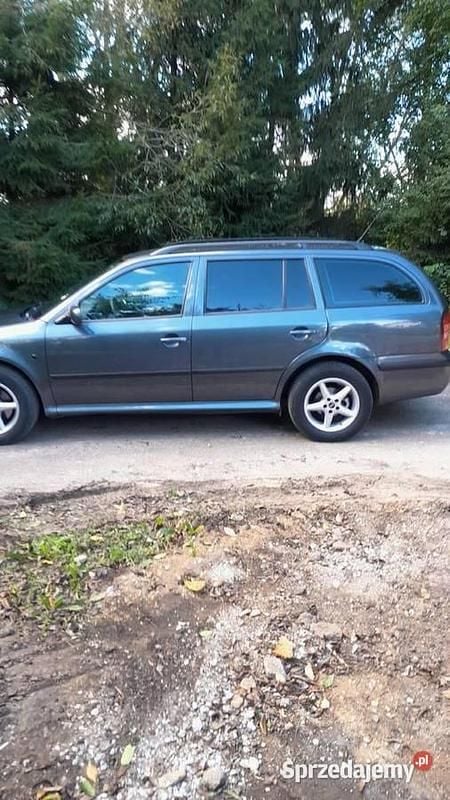 Używany 2007 Skoda Octavia | 14 700 zł (Drogi) - Obraz 1/4