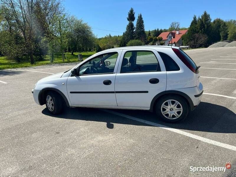 Obraz 3