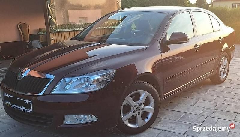 Używany Skoda Octavia 2011 Bordowy Hatchback