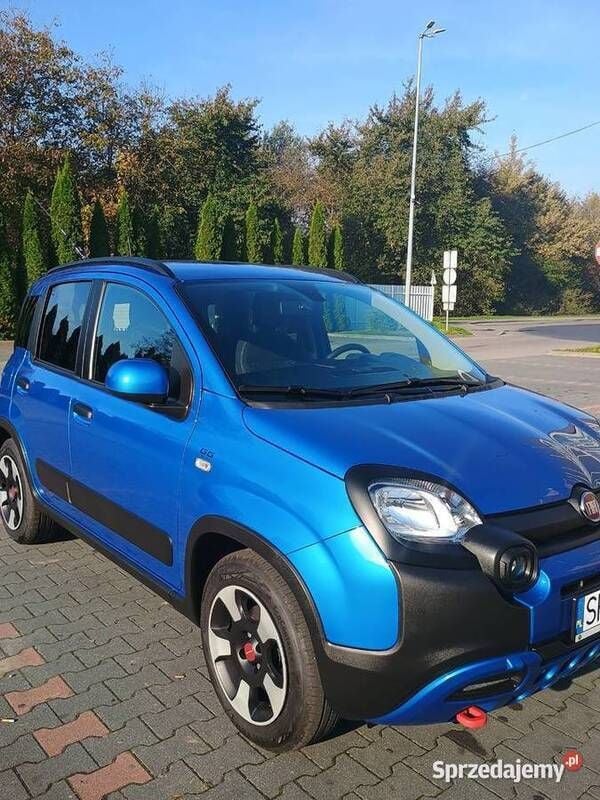 Używany 2024 Fiat Panda Hatchback | 62 000 zł - Obraz 1/4