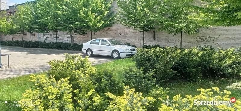 Używany 2005 Skoda Octavia | 4999 zł (Uczciwa cena) - Obraz 1/4