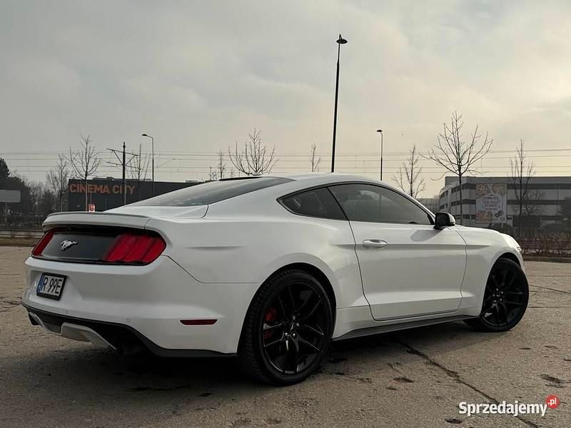 Używany 2015 Ford Mustang Performance Edition | 72 000 zł - Obraz 1/4
