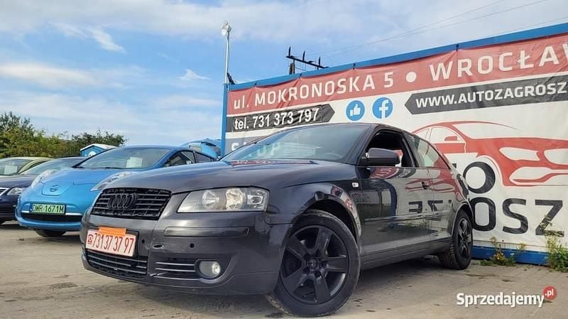 Używany 2004 Audi A3 | 6490 zł (Dość drogi) - Obraz 1/4