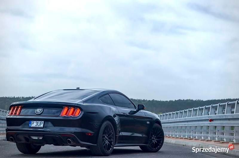 Używany Ford Mustang GT Performance Edition 2015