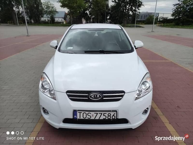 Biały Używany 2008 Kia ProCeed Hatchback | 12 000 zł - Obraz 1/4