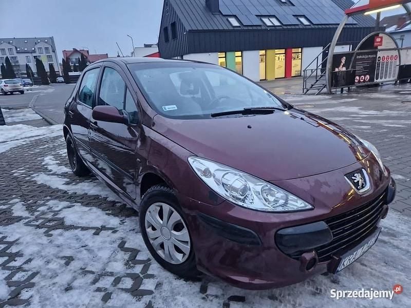 Używany 2006 Peugeot 307 | 5500 zł (Uczciwa cena) - Obraz 1/4