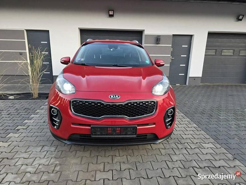 Czerwony (metalik) Używany 2017 Kia Sportage 2 SUV | 59 900 zł (Uczciwa cena) - Obraz 1/4