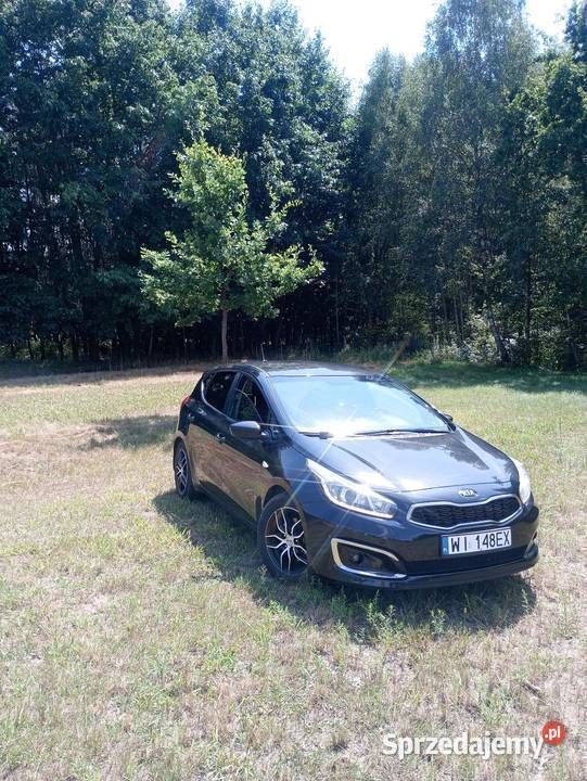 Obraz 2/4