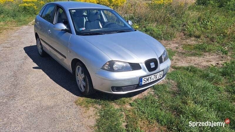 Srebrny Używany 2005 Seat Ibiza Hatchback | 10 000 zł (Uczciwa cena) - Obraz 1/4