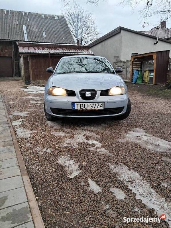 Używany 2002 Seat Ibiza | 3900 zł (Uczciwa cena) - Obraz 1/4