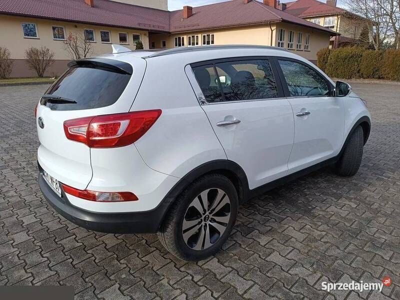 Obraz 4