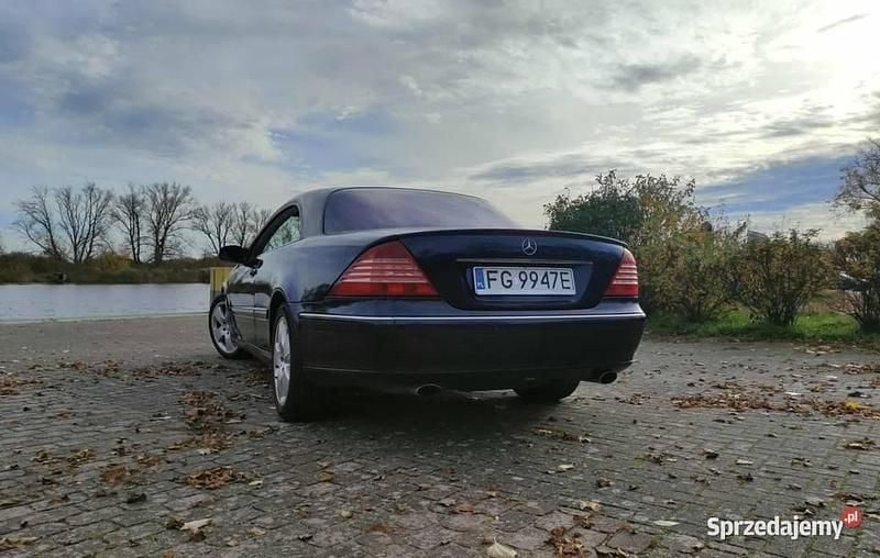 Używany Mercedes CL500 2004 Coupe