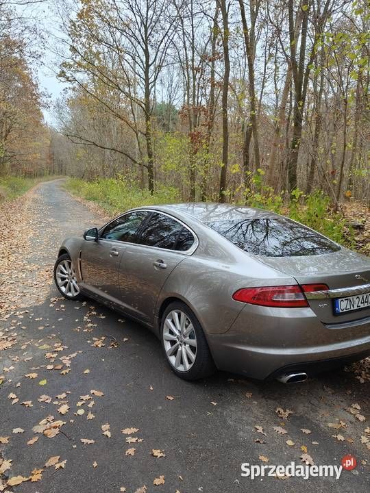 Używany Jaguar XF 2009 Sedan/Limuzyna