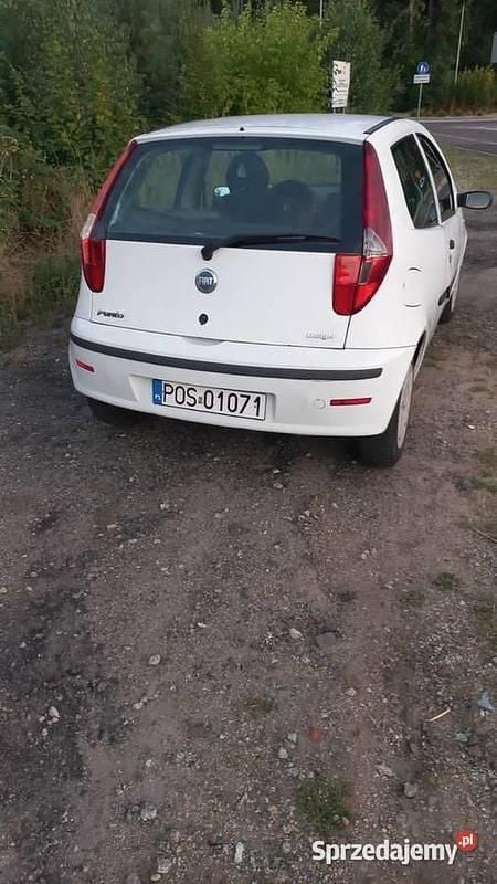 Obraz 2/3