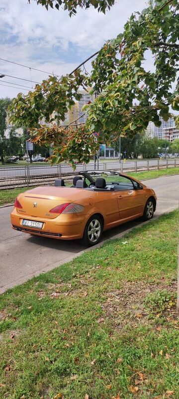 Obraz 4/4