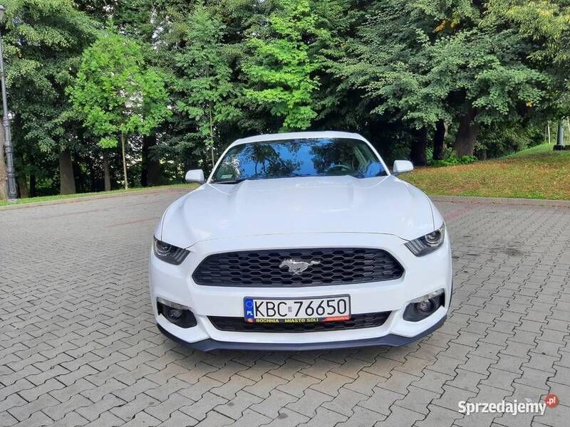 Biały Używany 2016 Ford Mustang Coupe | 84 000 zł (Drogi) - Obraz 1/4