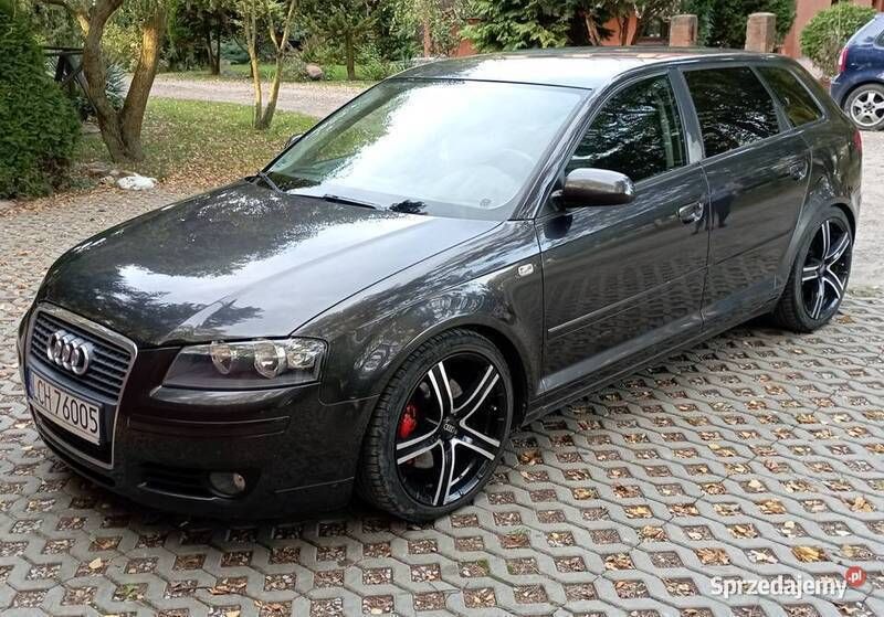Używany 2007 Audi A3 | 19 000 zł (Uczciwa cena) - Obraz 1/4
