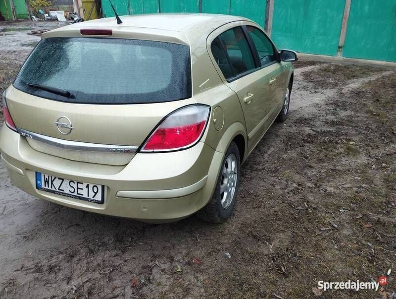 Obraz 2/3