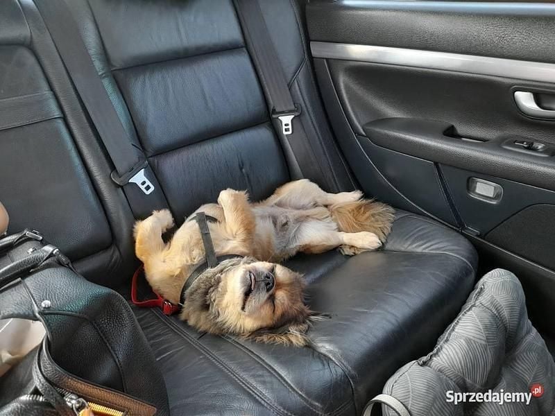 Używany Volvo S80 2007 Srebrny Sedan/Limuzyna