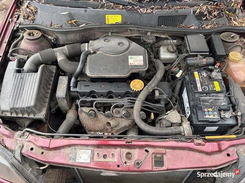 Używany 1998 Opel Astra | 1000 zł (Dobra cena) - Obraz 1/3