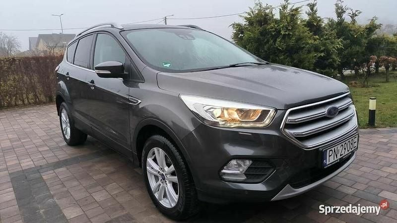 Używany Ford Kuga 2019 Szary SUV