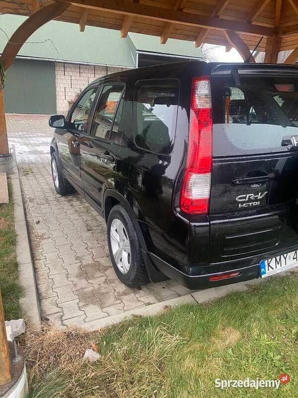 Obraz 4/4