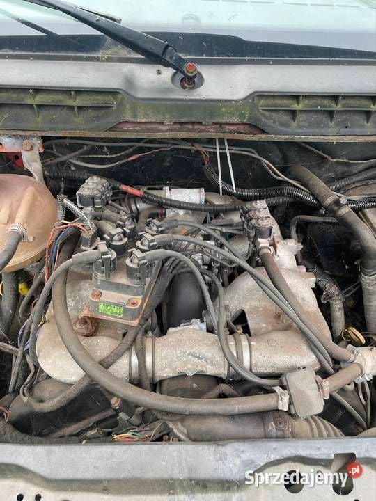 Czerwony Używany 1994 Ford Transit | 8000 zł - Obraz 1/3