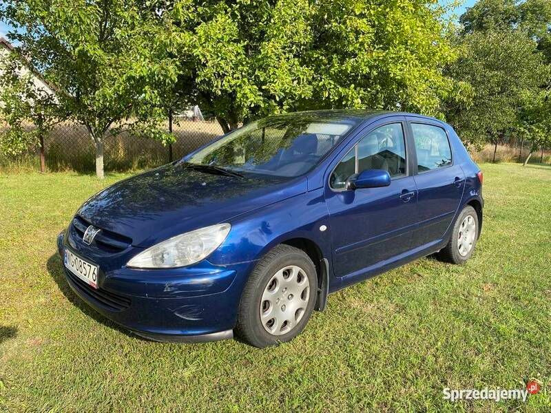 Granatowy Używany 2001 Peugeot 307 Hatchback | 7900 zł - Obraz 1/4