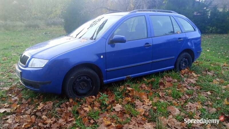 Używany Skoda Fabia 75 KM (55 kW) 2003