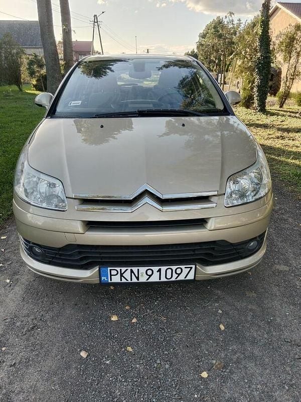 Obraz 2/4
