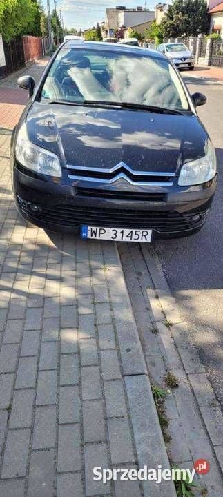 Obraz 2/4