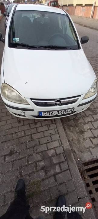 Obraz 3/3