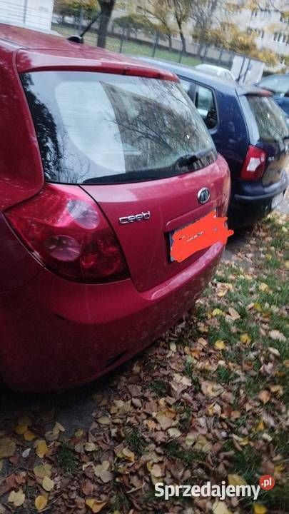 Wiśniowy Używany 2009 Kia Ceed | 10 200 zł (Dobra cena) - Obraz 1/2